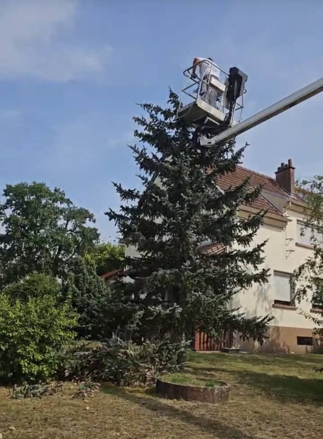 Taille d'un sapin en limite d'habitation, élagage Entreprise Reinard, Allier