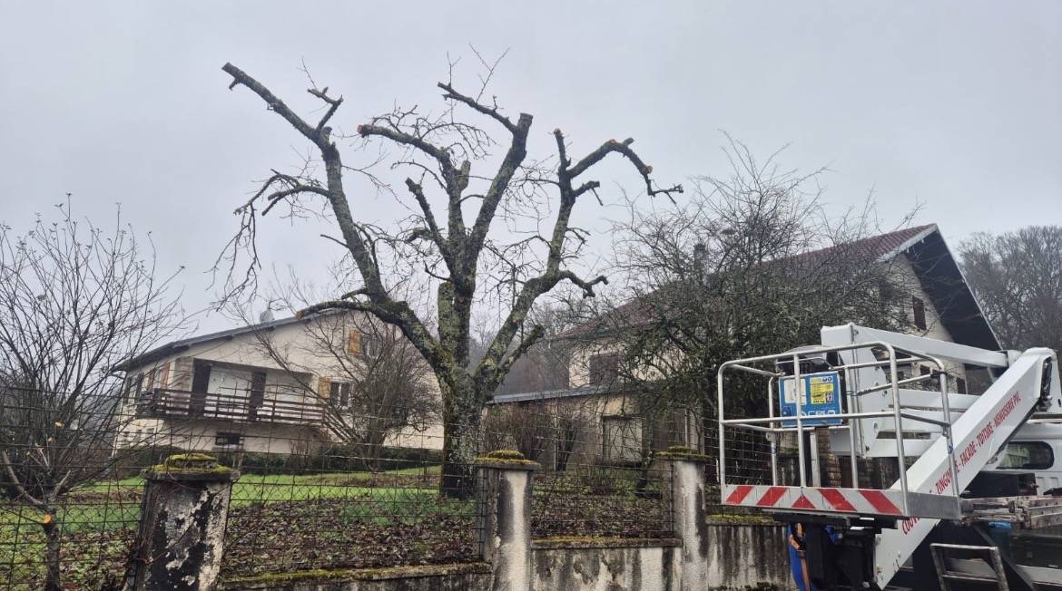 Élagage d'arbres devant une maison avec nacelle, Entreprise Reinard, Allier