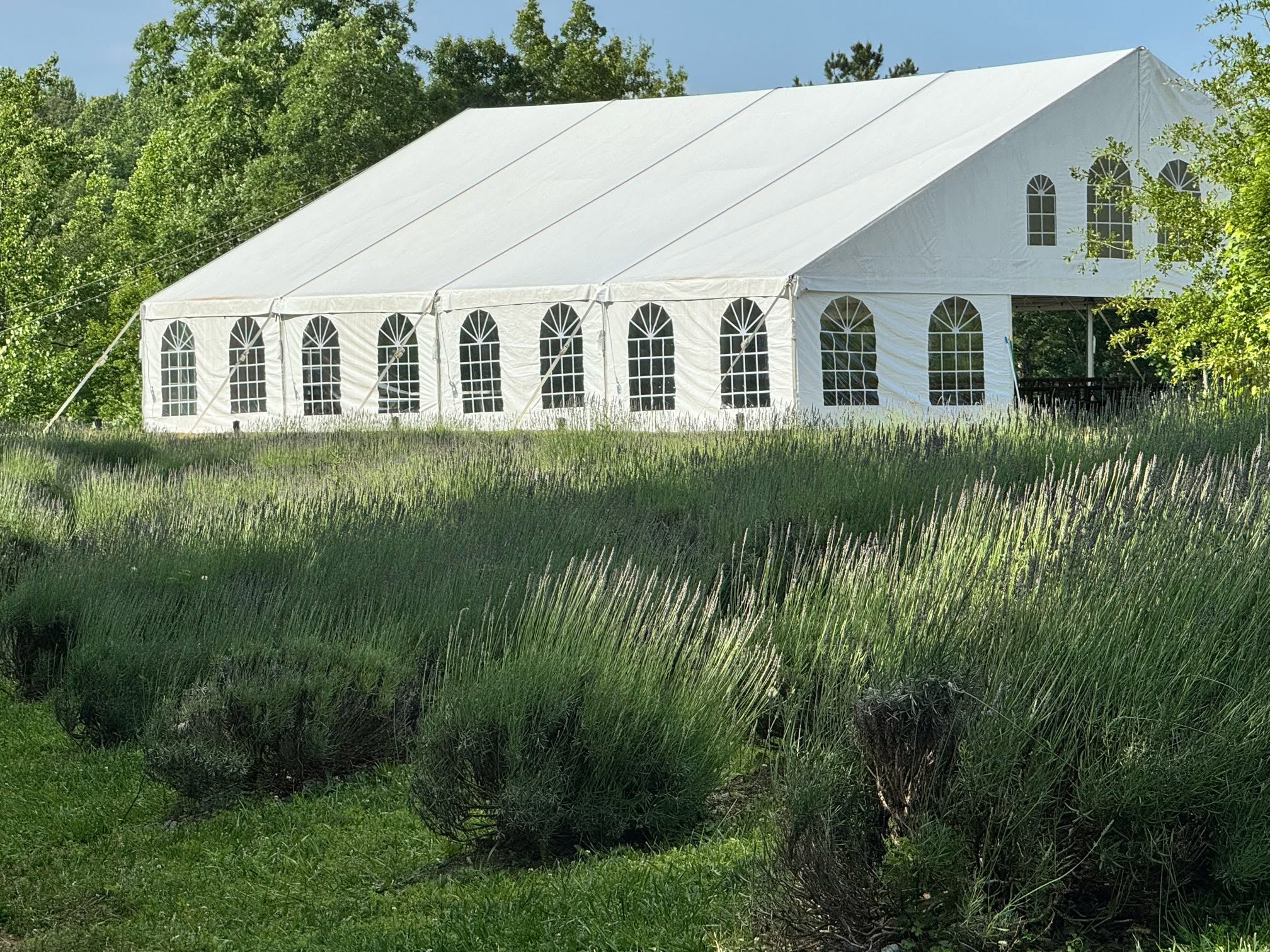 Elegant event tent with string lights and farm tables