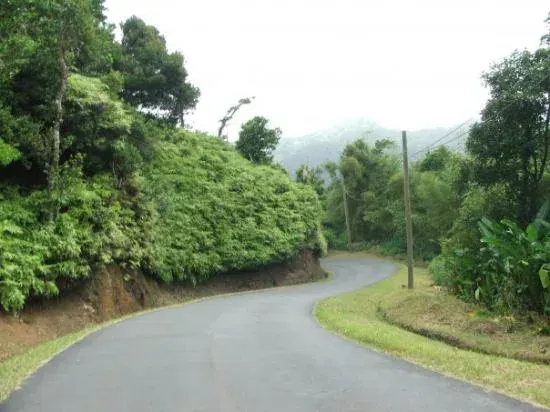 Driving on Grenada roads