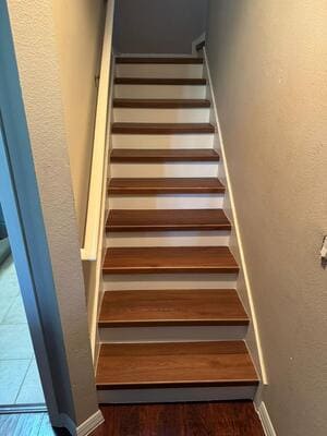 Windows in Winters Springs