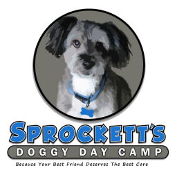 Sprockett's