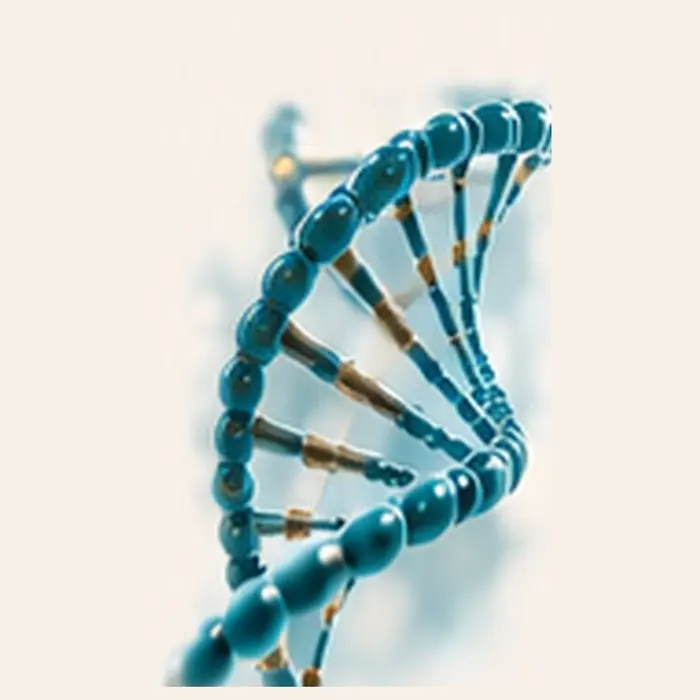DNA-Strang als Sinnbild für epigenetische Vitamin-D-Effekte