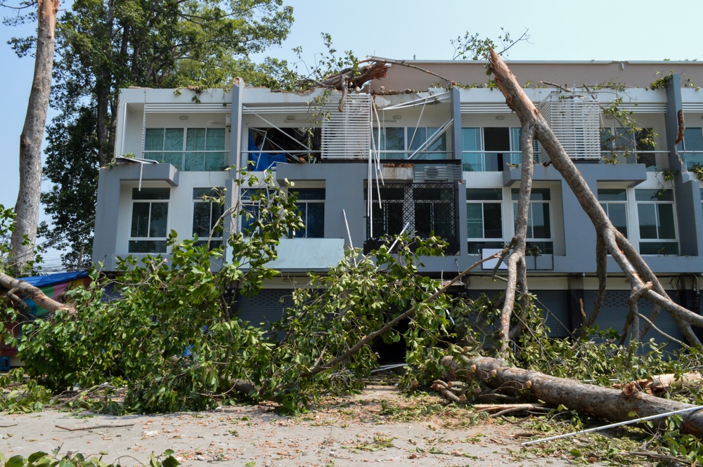 storm cleanup seasonal waste