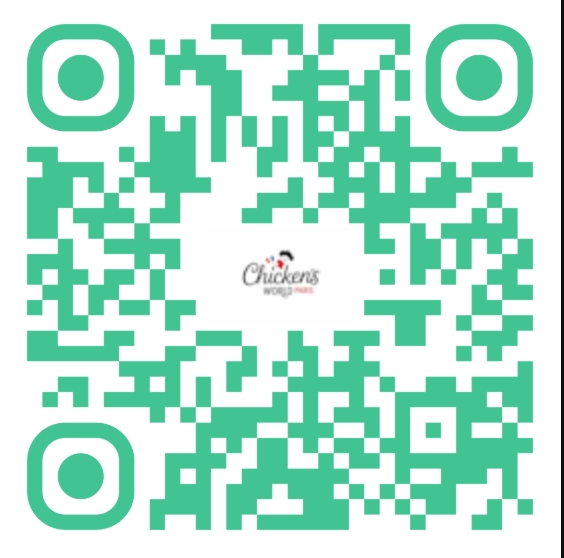 QR code avis Google restaurant halal Paris 13 Olympiades Chicken’s World clients Tolbiac BNF