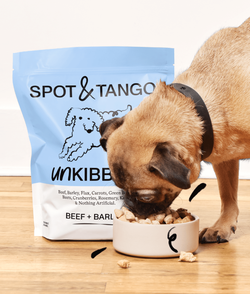 Spot And Tango