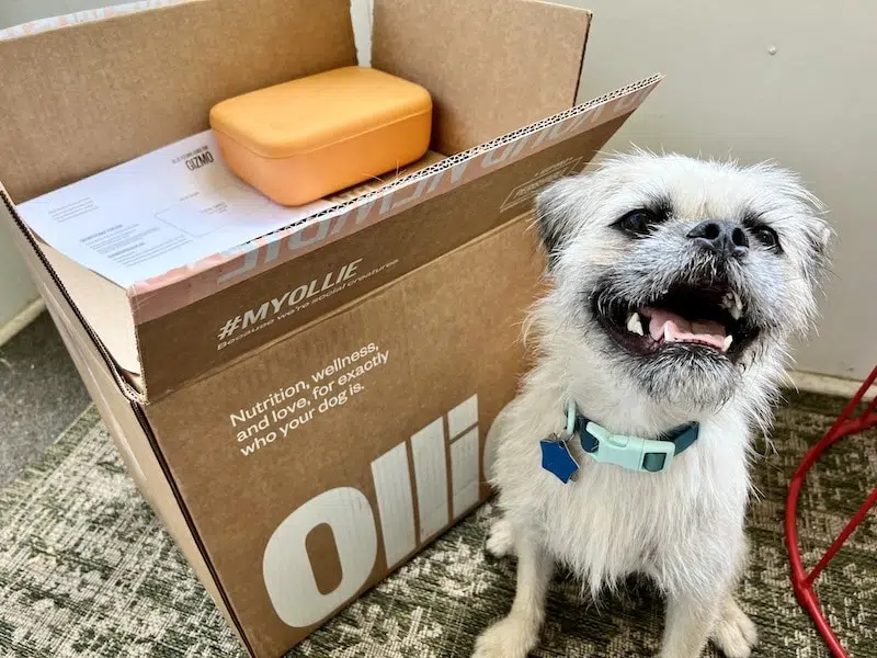 Ollie