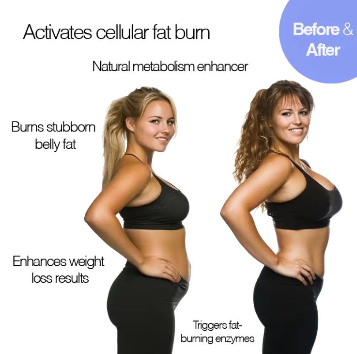 Air-C Compression Massager