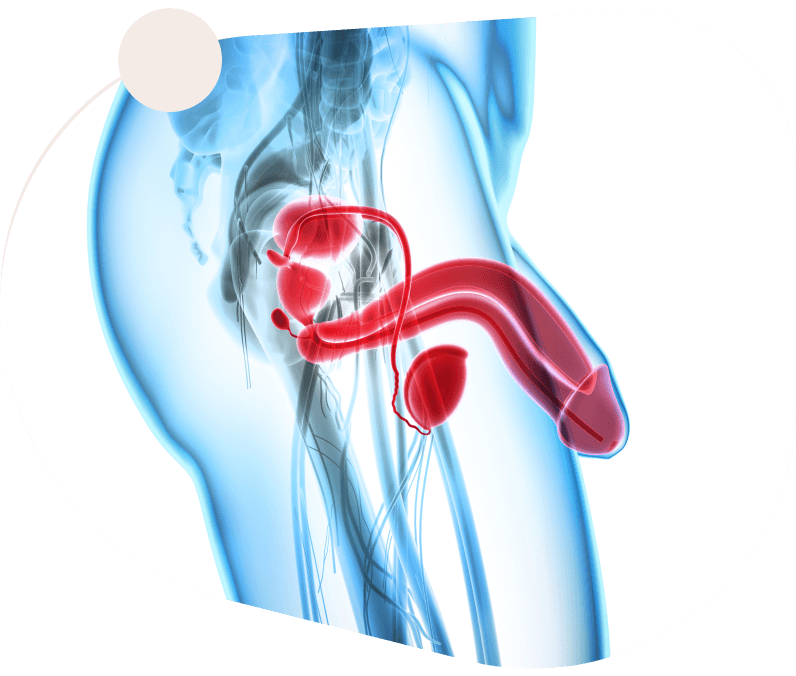 Air-C Compression Massager