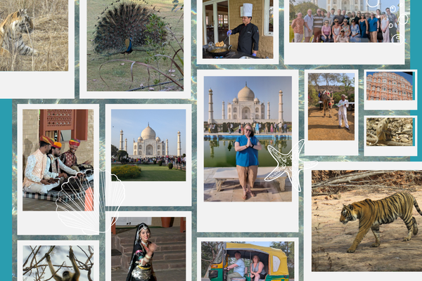 India collage India collage