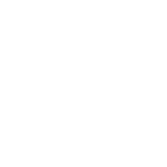 Data Classification Icon