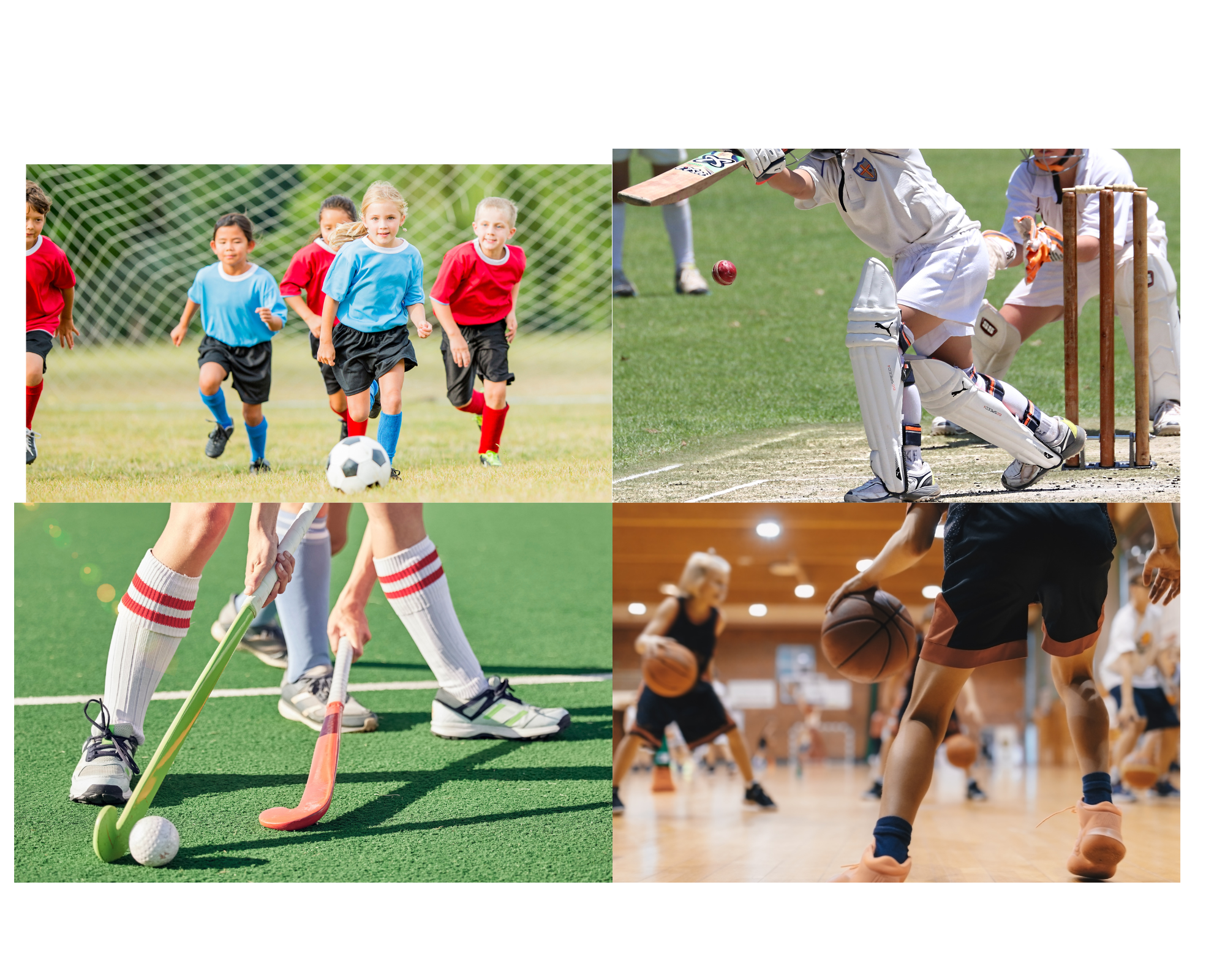 Four sport collage soccer, hockey, basketball, cricket