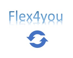 Fle4you IT bedrijf