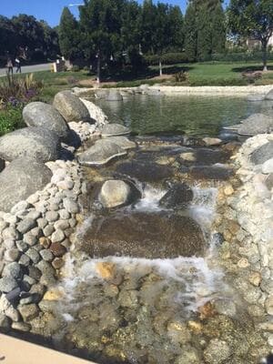 {{ custom_values.service_4 }} in {{custom_values.area_7})