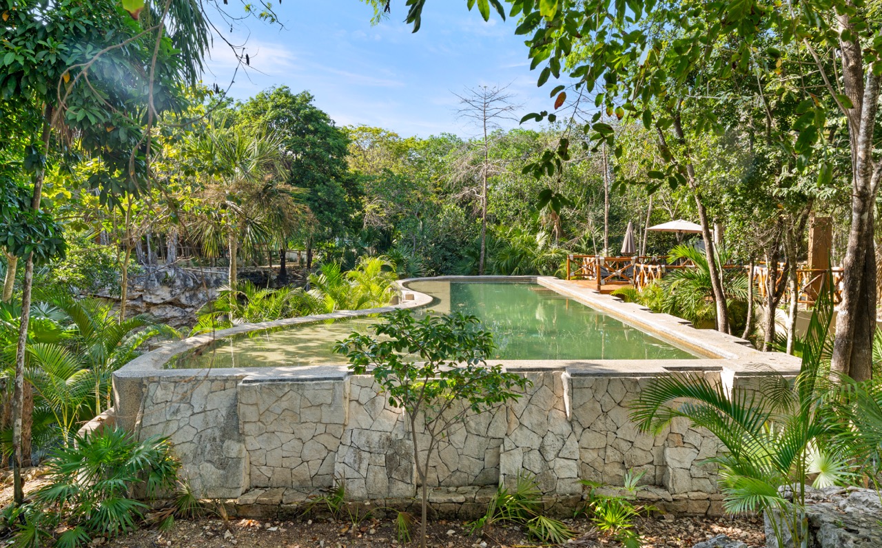 Bosques de Bambú — Interior