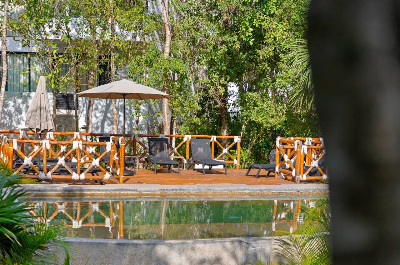 Bosques de Bambú — Cenote