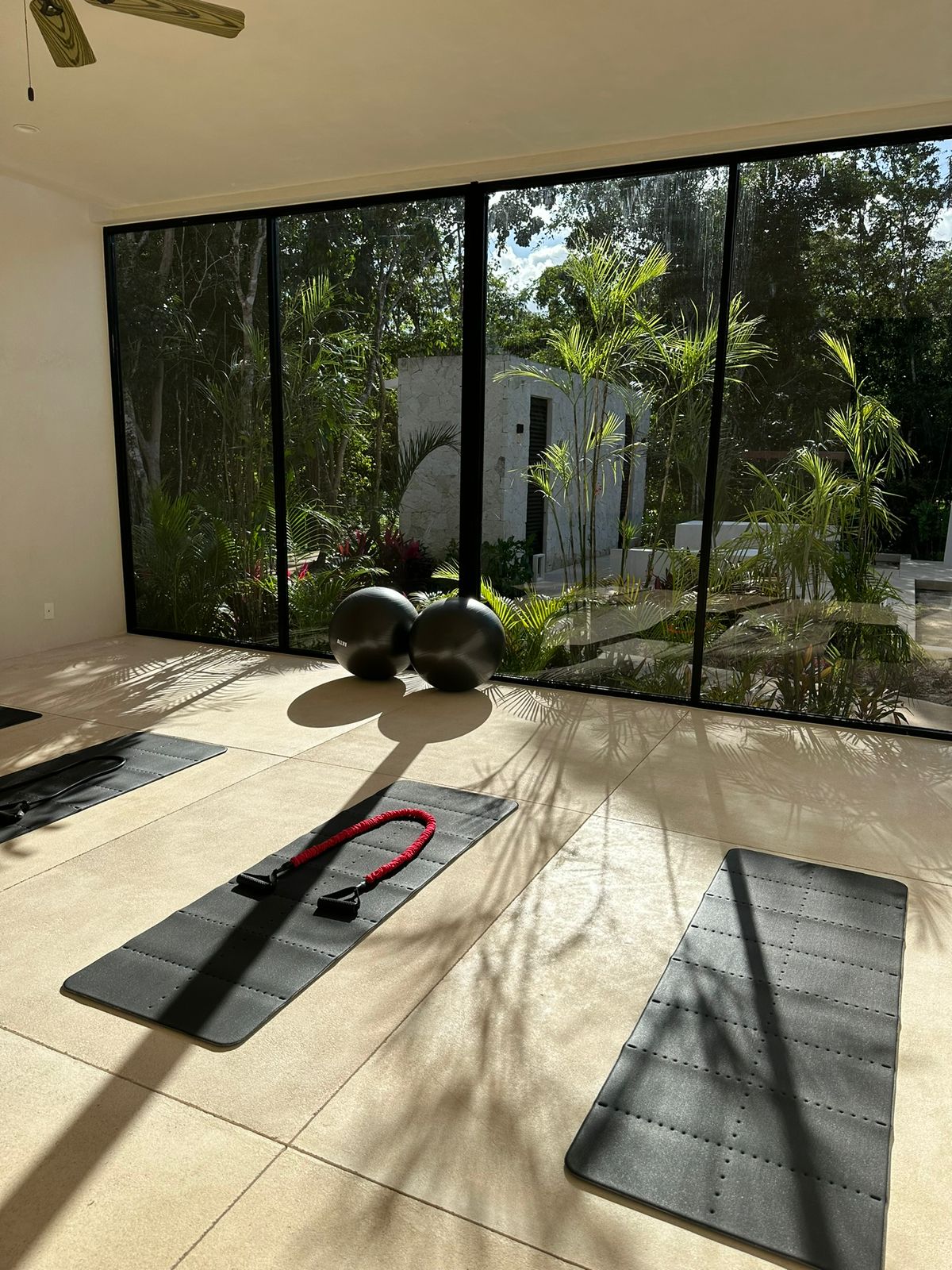 Edena Casa 93 — Jardín
