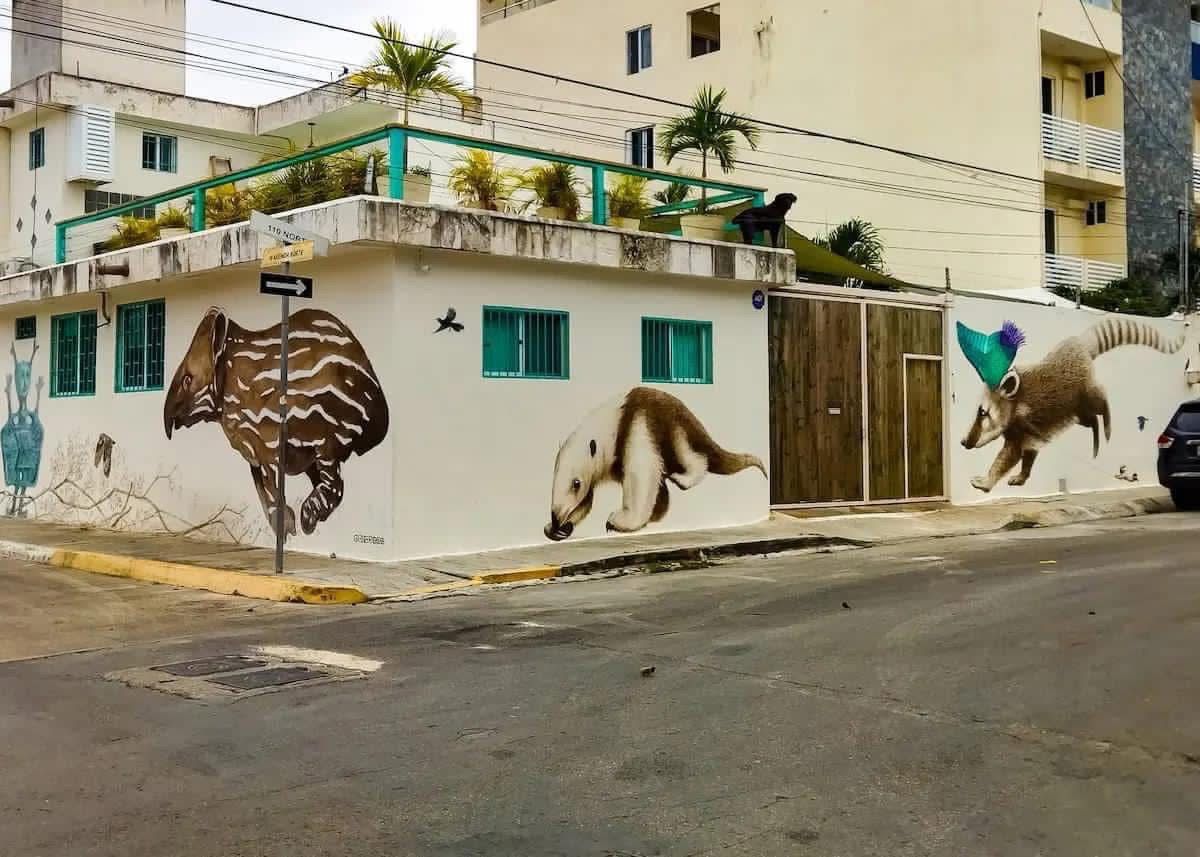 Playa Esmeralda — Vista principal