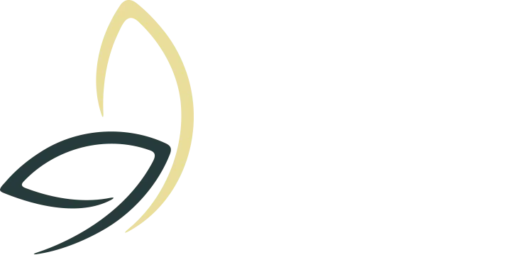 HiTech Aesthetics logo