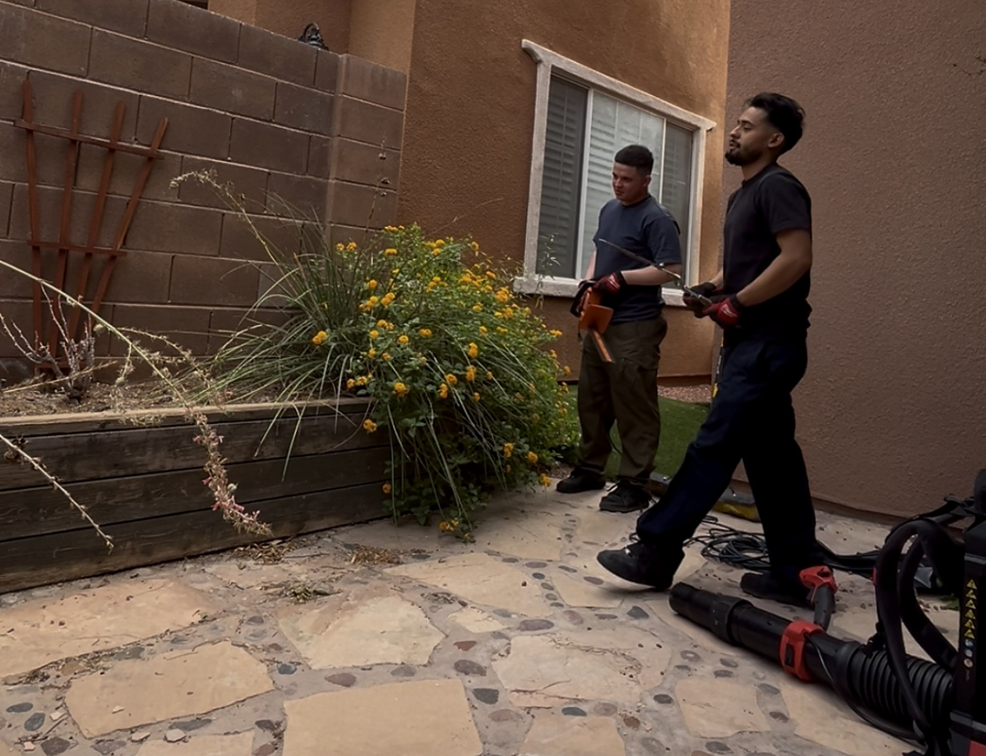 Yard Waste Removal