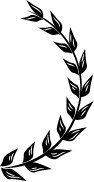 Right Icon