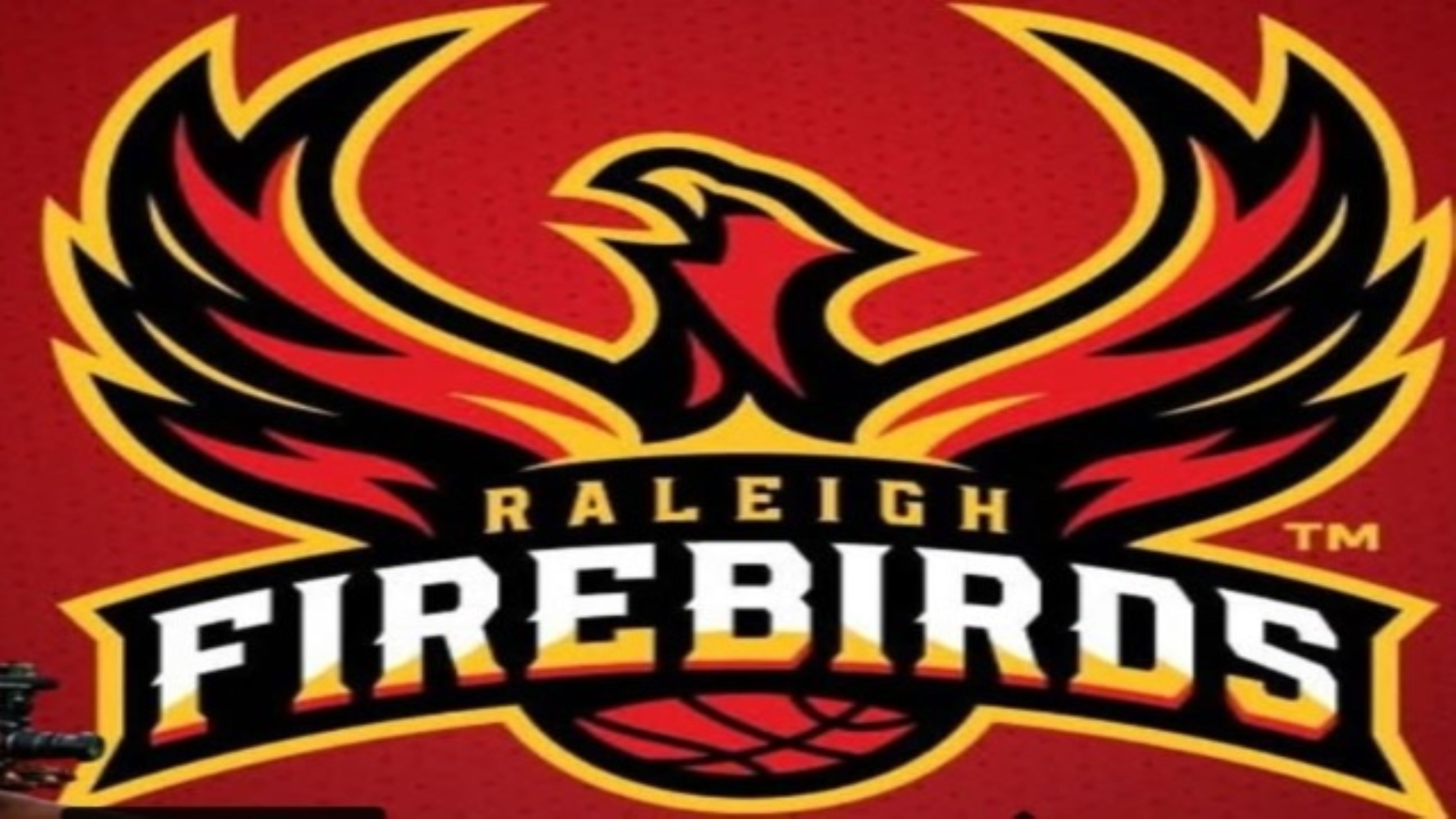The Firebirds
