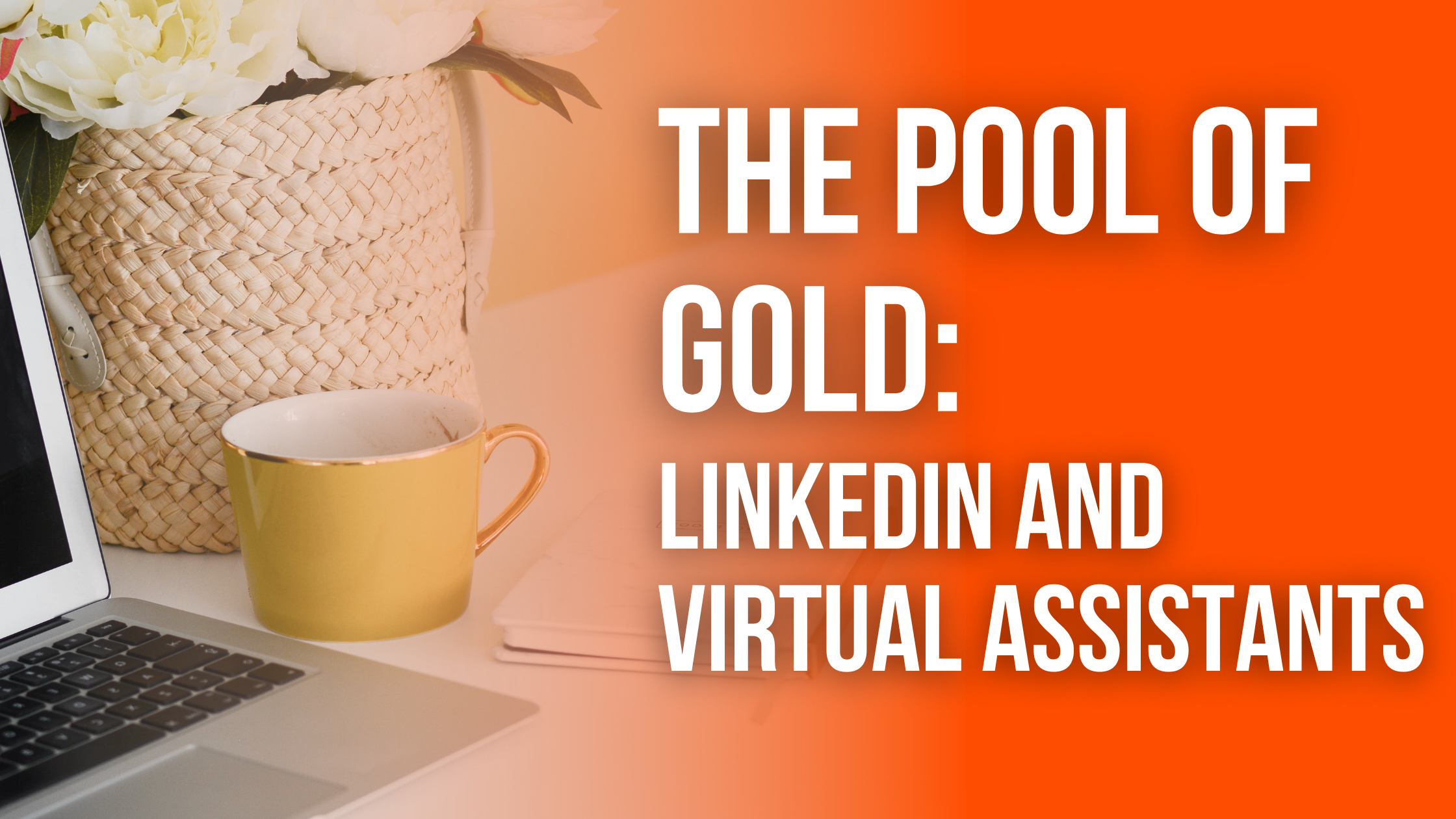 The pool of Gold: LinkedIn and Virtual Assistants