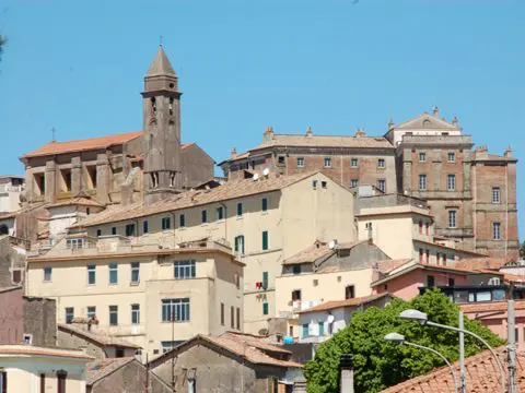 SOS Bollette Genzano