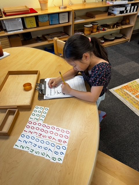 A St. Peter's elementary student working with Montessori math materials