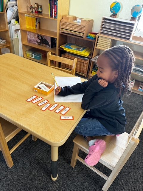 A St. Peter's elementary student writing