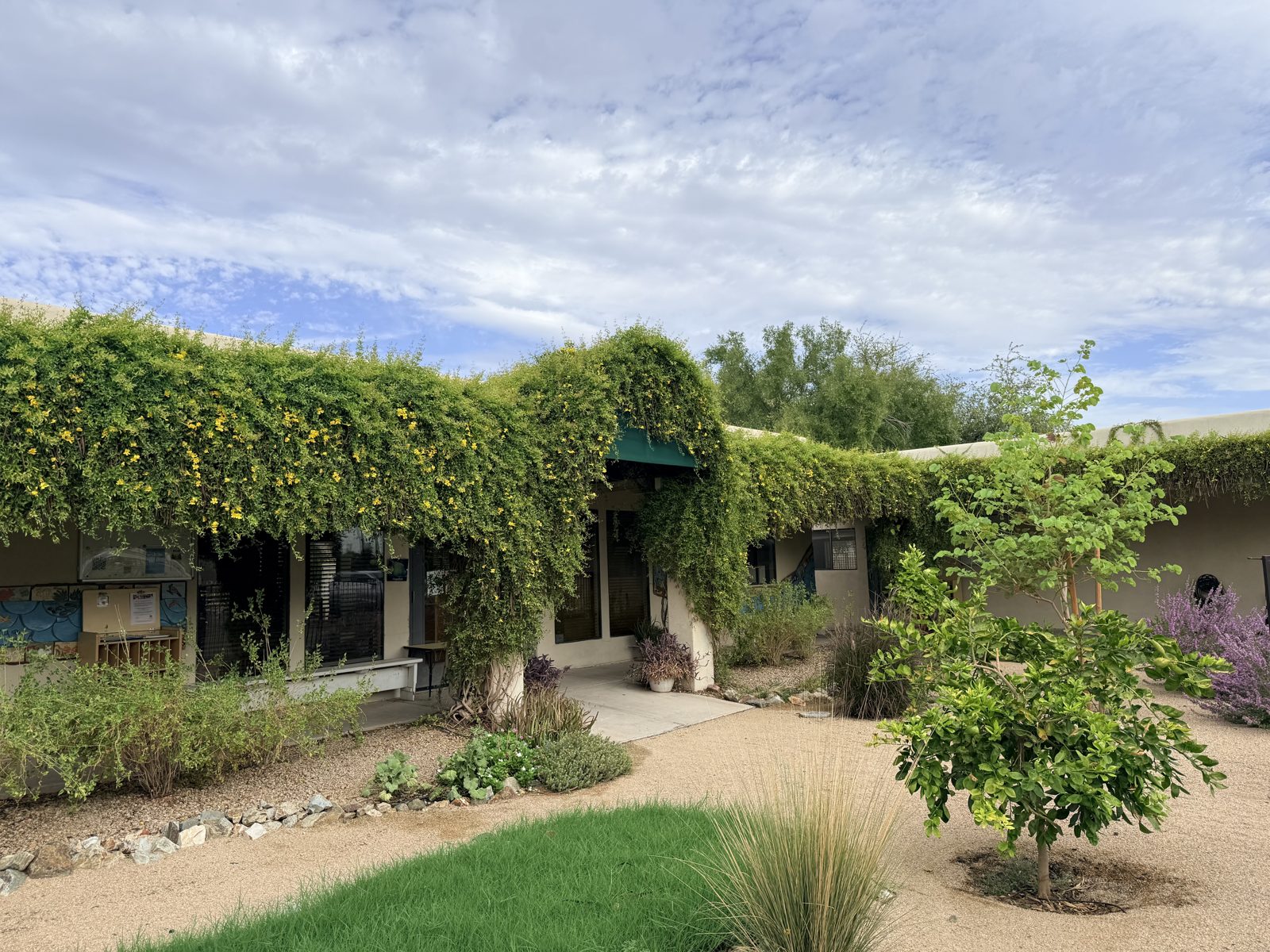 The St. Peter's courtyard with flowering vines and garden