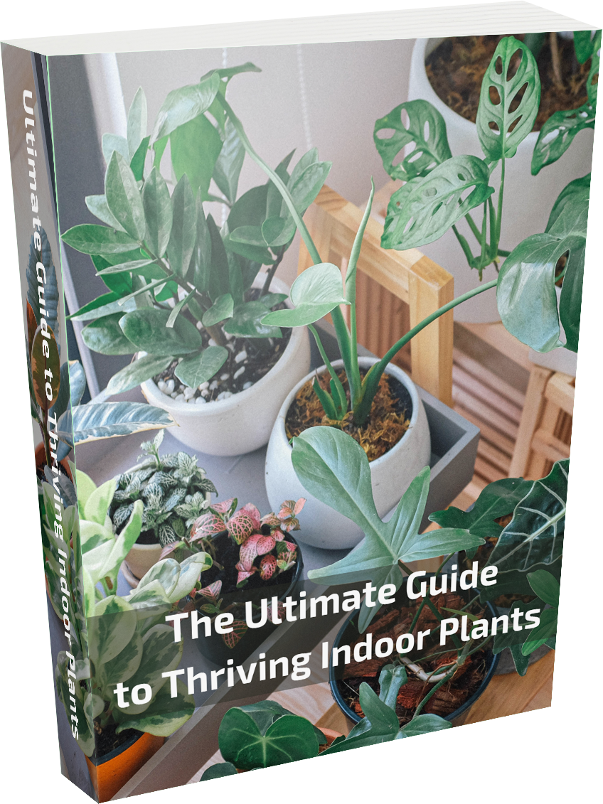 The Ultimate Guide to Thriving Indoor Plants