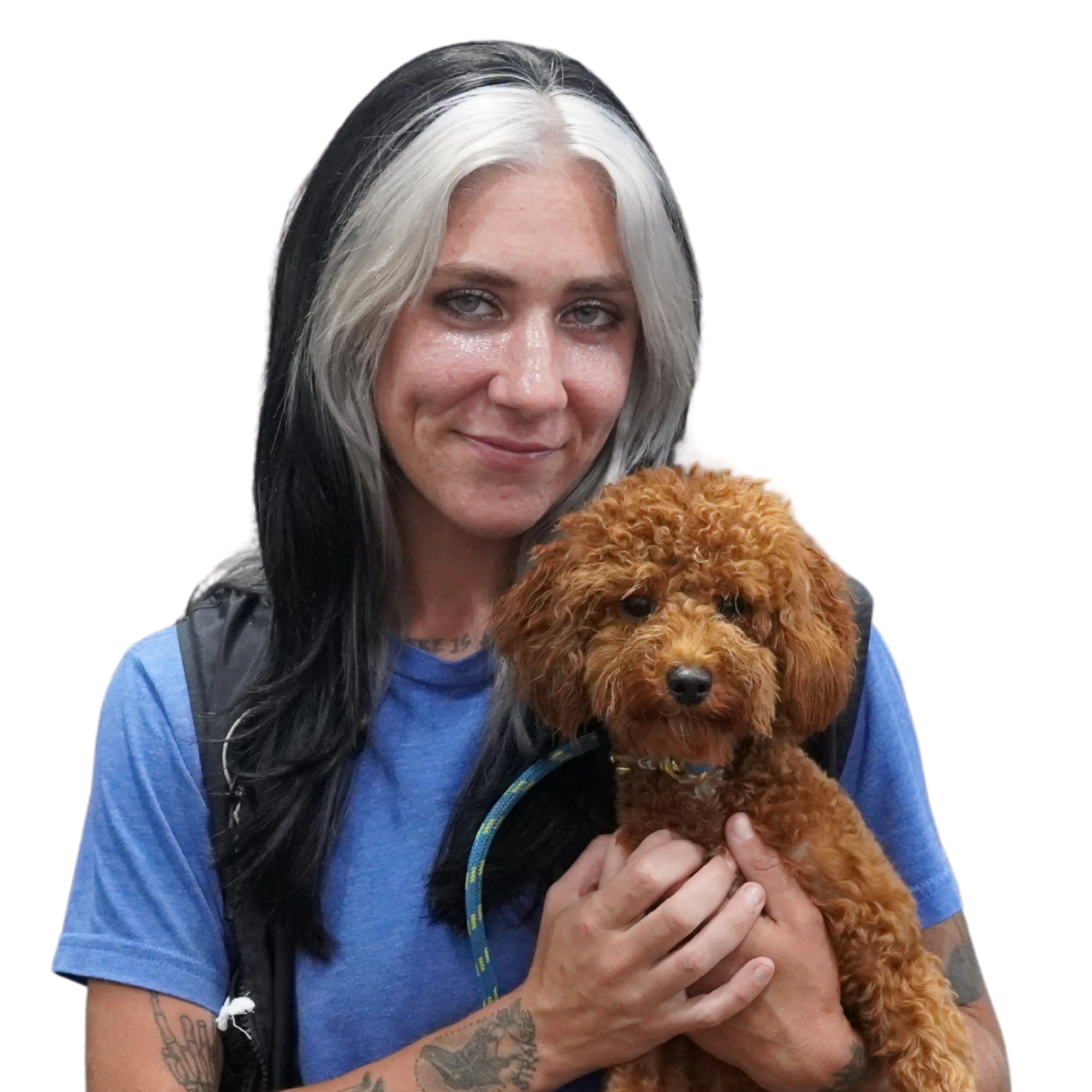 Our Certification 4 K9 Mania Dog Training dog trainer holding a dog