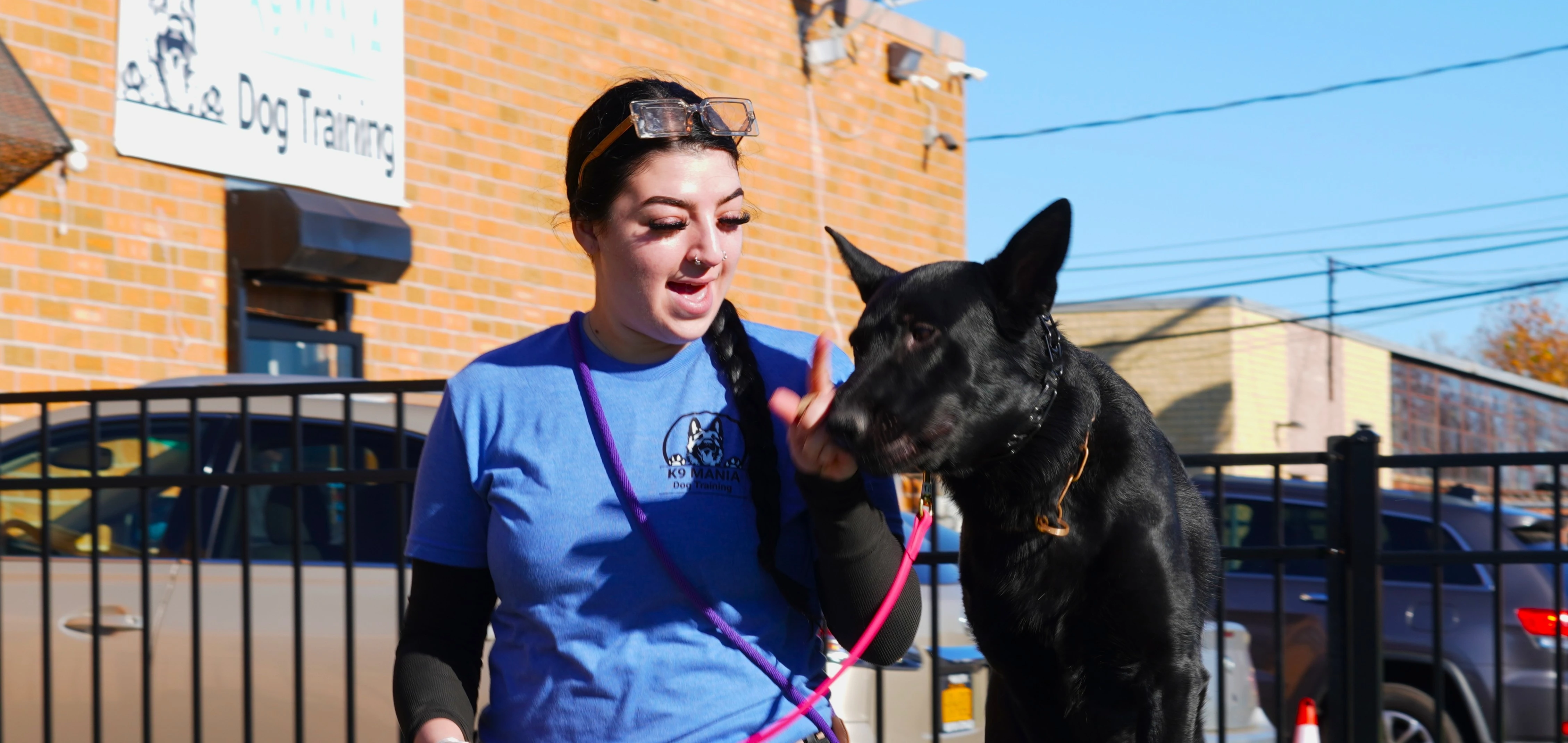 Our Certification 6 Dog training session outdoors at K9 Mania Dog Training facility in Deer Park Long Island