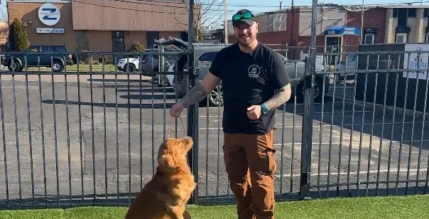 Our Certification 8 K9 Mania Dog Training team member playing with a dog at the training facility in Deer Park Long Island
