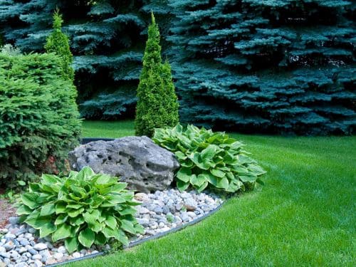  Landscape Maintenance