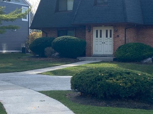 Grafton Landscape Maintenance