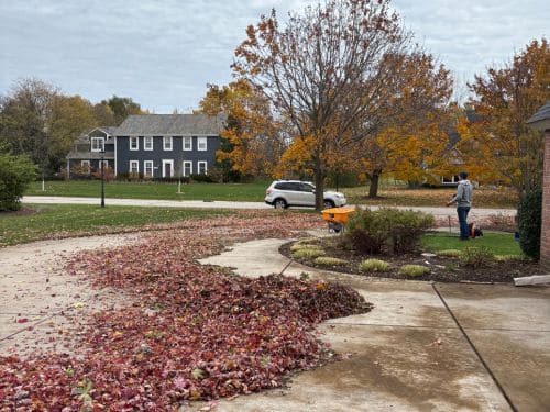 Landscape Maintenance