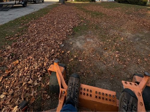 Landscape Maintenance