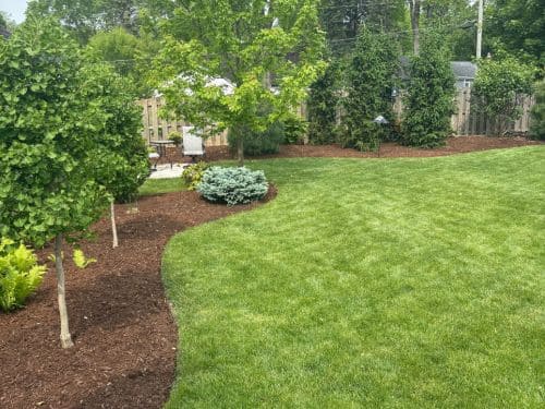  Landscape Maintenance