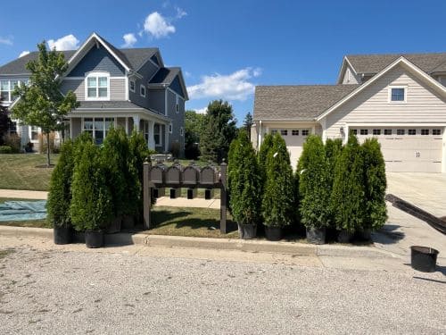 Grafton Planting & Plant Health