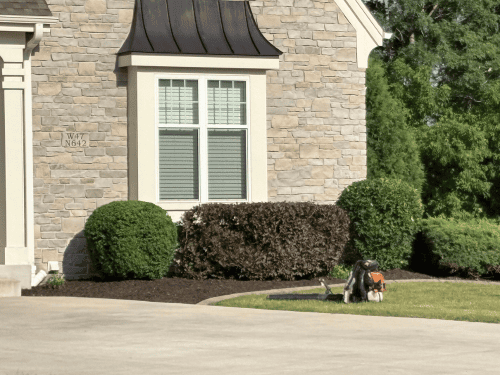  Landscape Maintenance