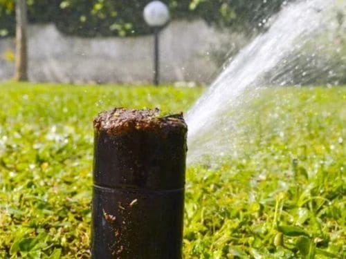 Landscape Maintenance