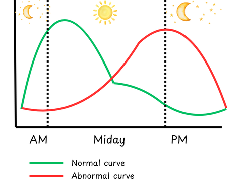 Cortisol 24 hour cycle Cortisol 24 hour cycle