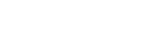 Alpha & Omega Computer Consultants