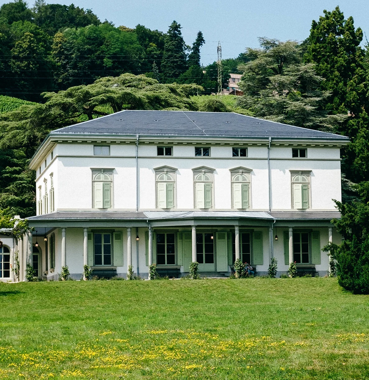 Building Consultation