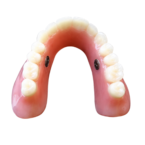 The TrueSeal denture, front view