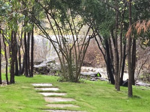 {{ custom_values.service_4 }} in {{custom_values.area_7})