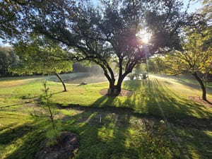 {{ custom_values.service_3 }} in {{custom_values.area_6})