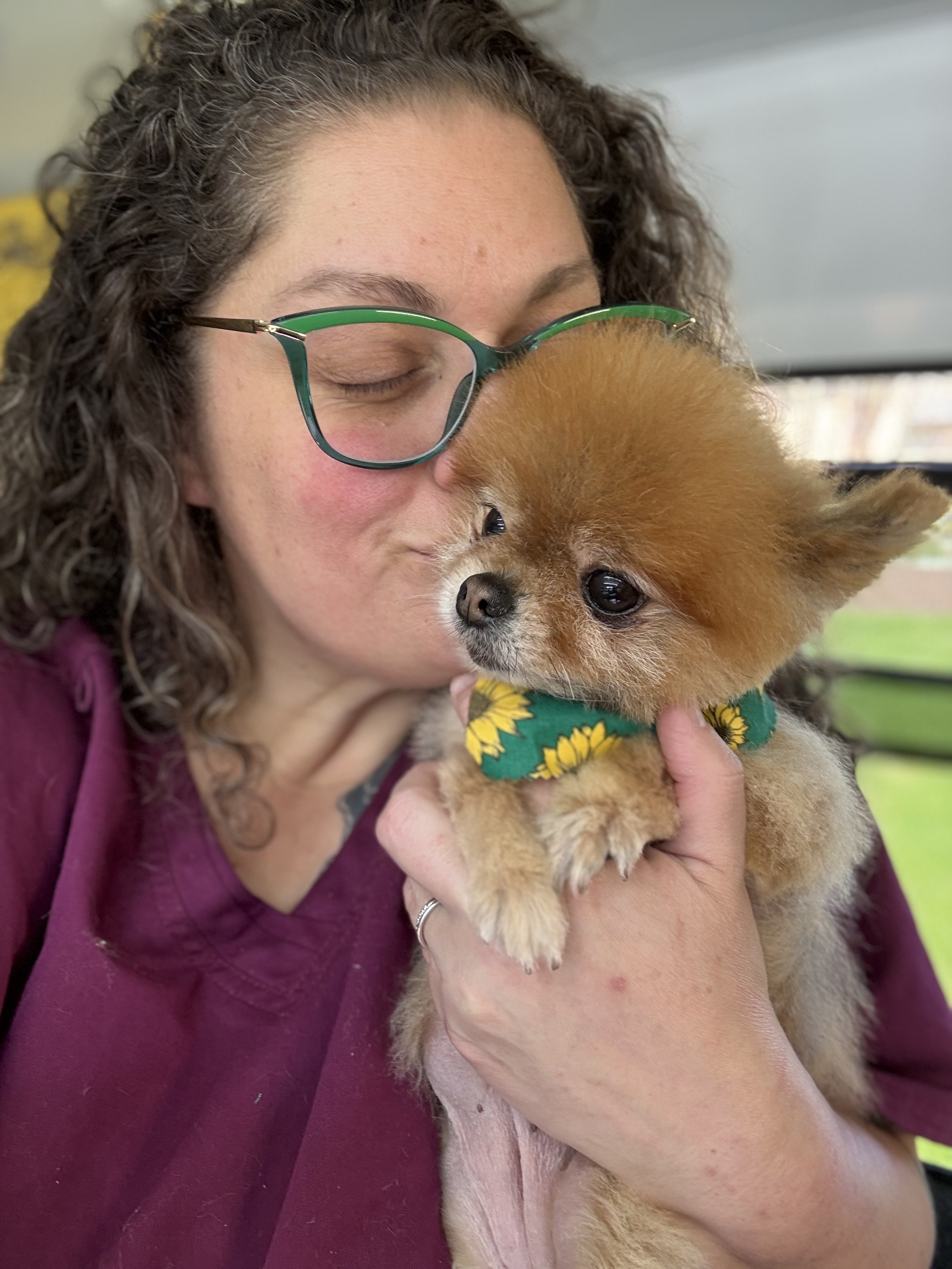 Cat Grooming Oak Harbor